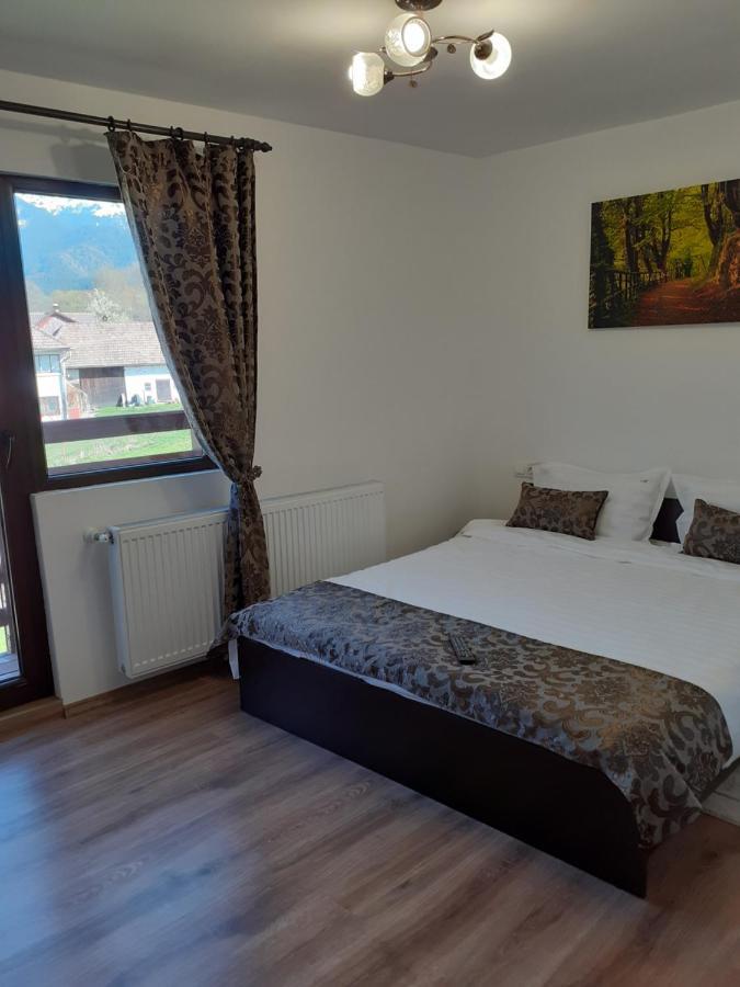 Casa Mosoiu Apartment Bran  Luaran gambar